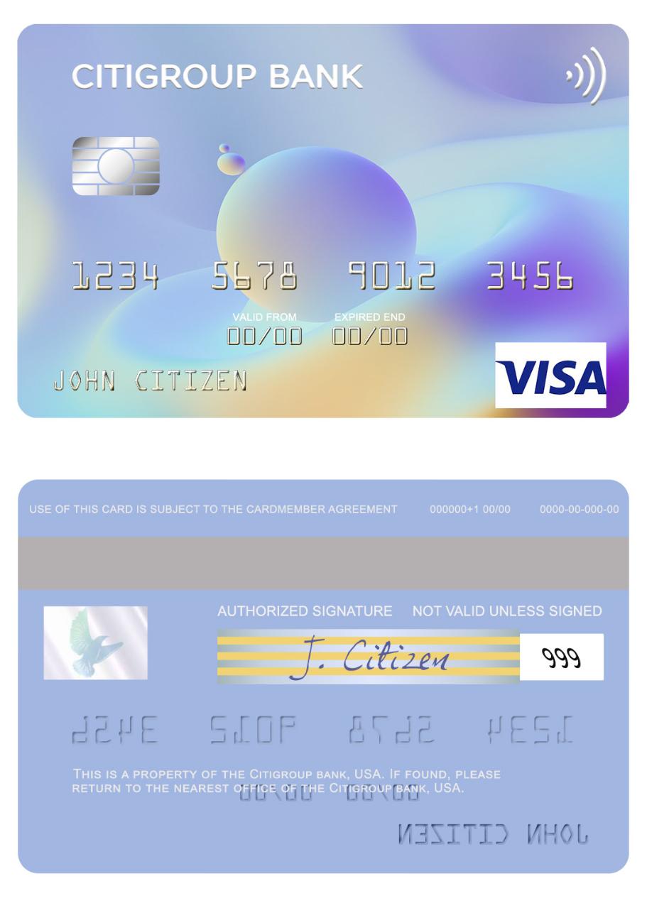 USA Citigroup Bank visa card